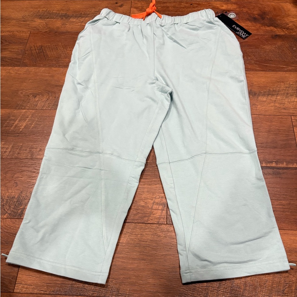 Evryday Jane capri stretchy comfortable mint green nwt